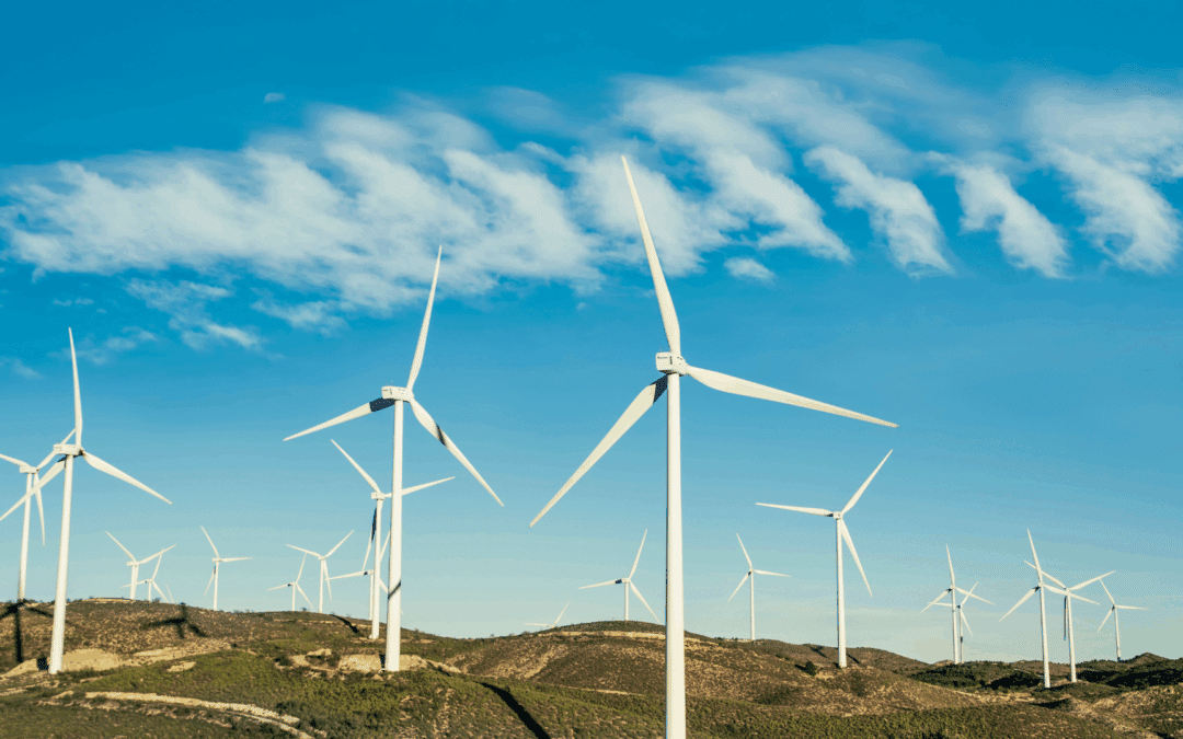 Renewable Energy Companies and I.T.: An In-Depth Look