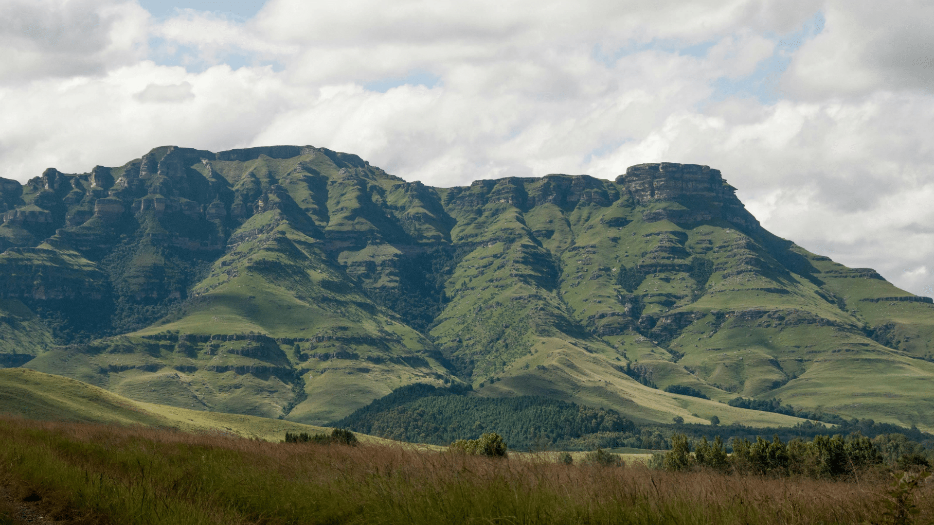 Serengeti Energy Goes Live With Octave Attune EAM Delivered By Leading Business Partner – TouchstoneEnergy