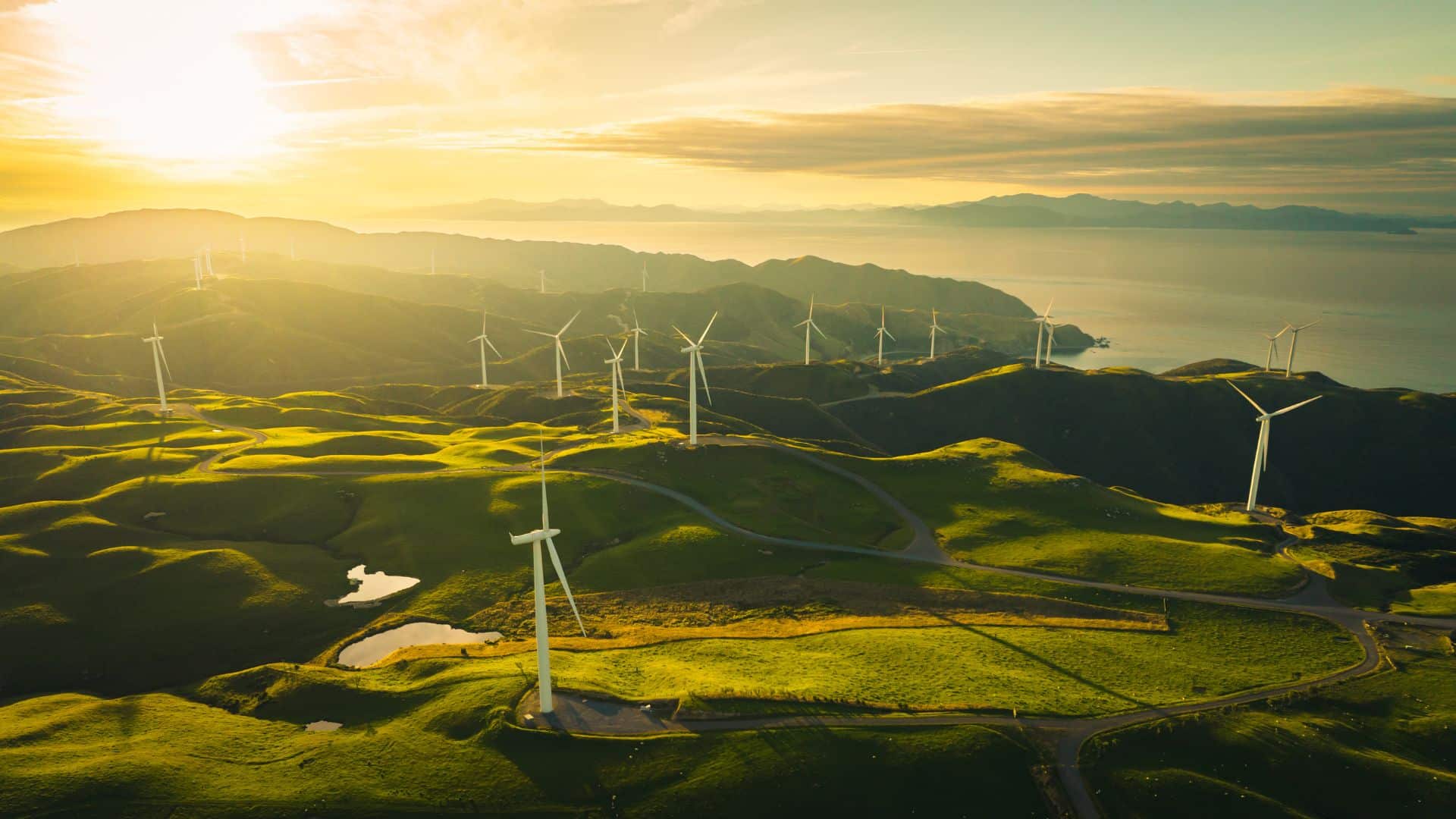 Renewable Energy’s 2026 Growth Story Renewable Energy's 2026 Growth Story